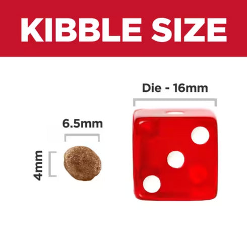 Hill's Pet Nutrition Chicken & Brown Rice Recipe Dog Food 12.5lb - Poudre Pet and Feed Supply